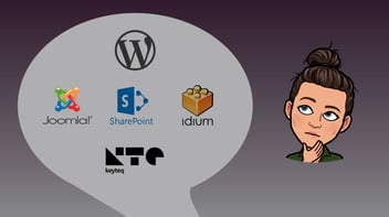 BildeFaceBloggWordpress Hva er CMS og hvilket system passer best for deg? 