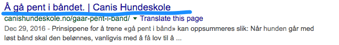 Hvordan_få_hunden_til_å_gå_pent_i_bånd__-_Google_Search